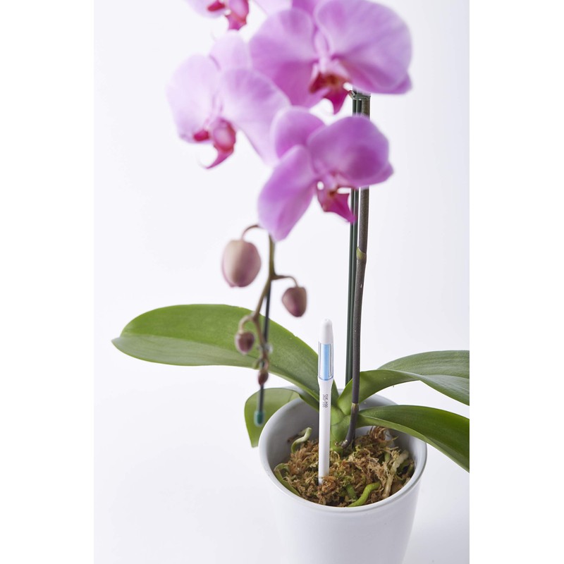 Sustee Aquameter, Set of 5, Plant Soil Moisture Sensor (White,