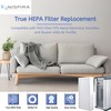 Nispira TiO2 Replacement Filter Compatible with Aerus Electrolux Guardian and