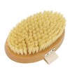 Massage Body Bath Brush Lymphatic Drainage Exfoliating Detox Deep Cleaning