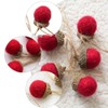 VICASKY Christmas Craft DIY Felt Ornaments Wool Tree Decoration Set