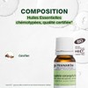 Pranarom Clove, 0.3 fl oz (10 ml)