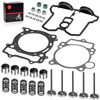 Cylinder Head Exhaust Intake Valve & Spring Gasket Kit for