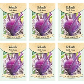 Set of 6 Vegetable Seed Packs - Create a Deluxe Garden - All Seeds are Heirloom - 100% Non-GMO (Kohlrabi Seeds Purple Vienna)