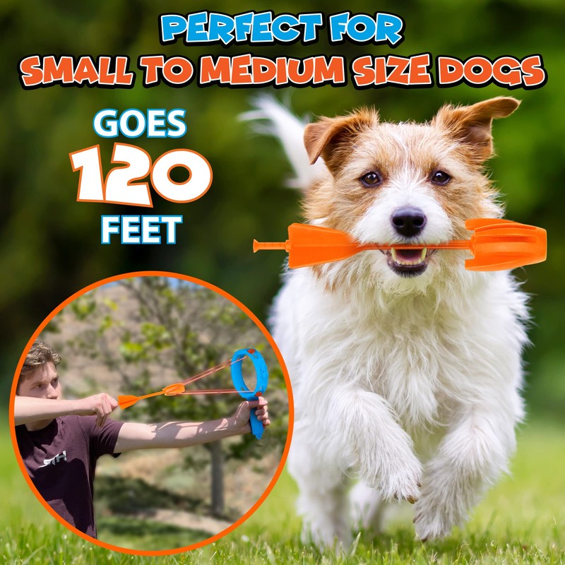 Funwares Ring Strike Fetch, Spare Arrows (Set of 2)