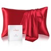 LOOMBERRY 100% Pure Mulberry Silk Pillowcase for Hair and Skin,