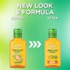 Garnier Fructis Sleek & Shine Moroccan Sleek Oil Treatment, Frizzy,