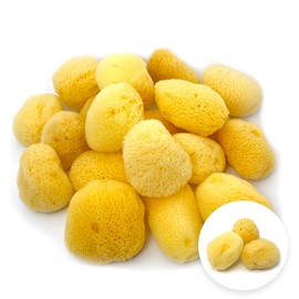 Natural Sea Sponges Silk Seeds, Approx. 2.0 inches (5 cm), Size M, Fine and Gentle Texture, Silk Sponge, Large Capacity, Commercial Capacity, Bulk Purchase, Makeup, Face Body, Sanitary Soft (3 Pieces)