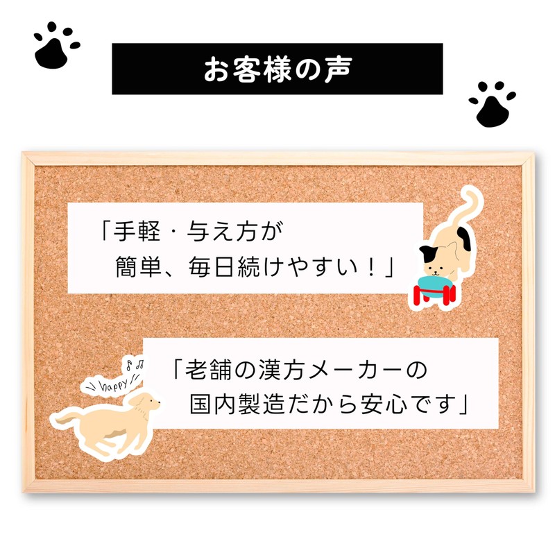 Wannyan Smile Series Lactic Acid Bacteria Supplement "Ikikiki All-in-One (Lactic