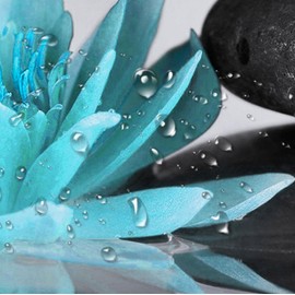 LB Zen Spa Shower Curtain Grey Bamboo Stone with Teal Water Lily in Water Bathroom Shower Curtain Teal and Gray Bathroom Curtain with Hooks 72Lx60W Inch Polyester Fabric Curtain