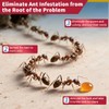 Ant Killer Gel for Indoors and Outdoors, Powerful Ant Control