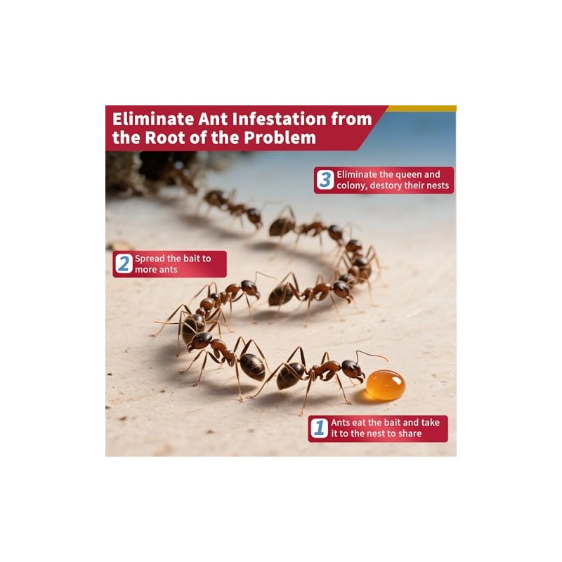 Ant Killer Gel for Indoors and Outdoors, Powerful Ant Control