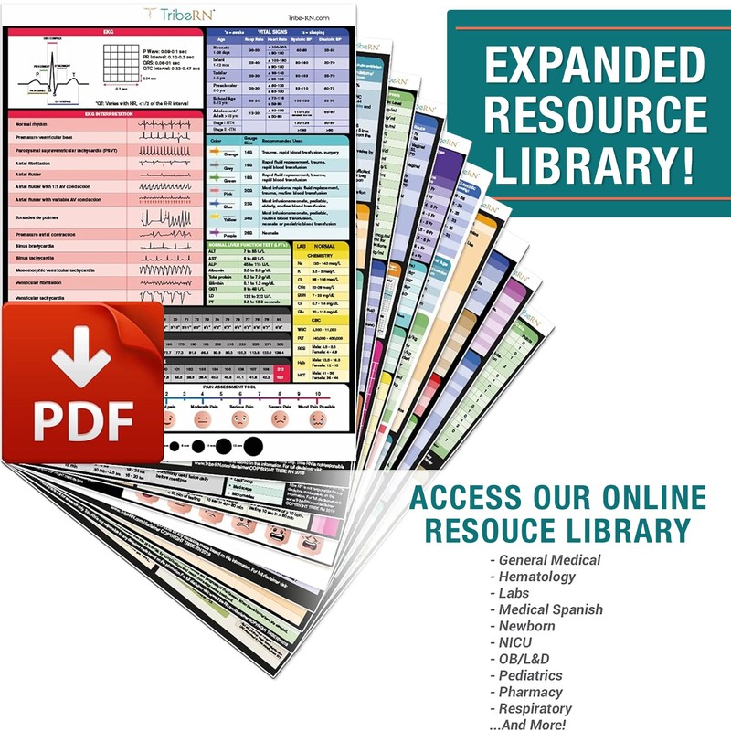Tribe RN Nursing Clipboard with Storage - Medical Clipboard Nursing
