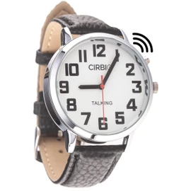 Big Talking Watch with Jumbo Numbers for Visually impaired with North American Male Voice