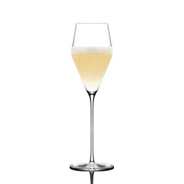 Zalto Glasmanufaktur Denk´Art Champagne in Gift Box Set of 2