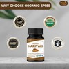 ORGANIC SPREE Haritaki 120 Tablets | Terminalia Chebula (Haritaki) |