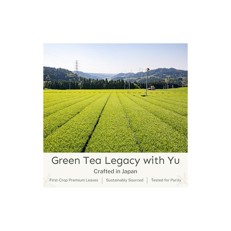 Organic Decaf Japanese Sencha Green Tea Powder - 100 Servings