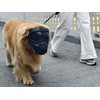Enjoying Dog Goggles for Medium-Large Breeds, Full Face Protection, Anti-UV