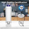iRhodesy Water Filter Compatible with Delonghi DLSC002, Filters Replacement Compatible