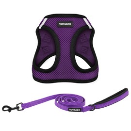 Voyager Step-in Air All Weather Mesh Harness and Reflective Dog 5 ft Leash Combo with Neoprene Handle, for Small, Medium and Large Breed Puppies by Best Pet Supplies - Purple/Black Trim, X-Small
