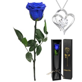Yamonic Gifts for Women Christmas, Infinity Rose with Stem, Eternal Rose with Heart Necklace Gifts for Mum, Real Rose with Chain for Women, Preserved Flower for Valentine's Day/Mother's Day