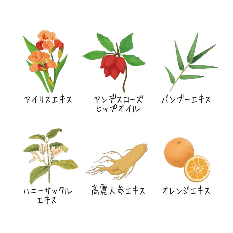 Lux Premium Botanical Volume Treatment Pump, 18.0 oz (510 g)