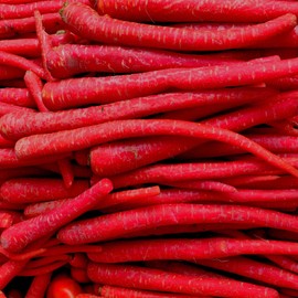 Carrot Seeds - Kyoto Red - 1 g Packet ~900 Seeds - Non-GMO, Heirloom - Asian Garden Vegetable