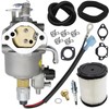 Aynaxcol A042P619 Carburetor Carb with Gaskets Replacement for Onan Cummins