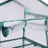Palm Springs 3 -Tier Mini Greenhouse with Cover and Roll-up
