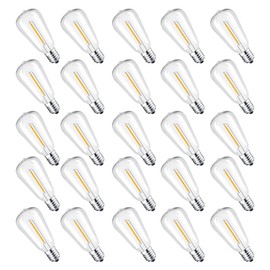 25 Packs ST38 LED Edison Bulbs,0.6Watt E12 Base Small Vintage Light Bulbs Equivalent to 7W Incandescant, 2700K Warm White Bulbs for ST38 String Lights, Shatterproof Waterproof Dimmable, Not for Solar