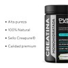 Creatina Monohidratada, Alta Pureza 300g | Dumo Labs