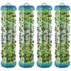 RESCUE! Non-Toxic Indoor Fly Trap – 4 Pack