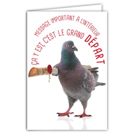 69-6224 Card Departure to New Adventures Humorous Message with Illustrated Envelope 17.5 x 12 cm Pigeon Funny for Moving or Retirement Design Made in France