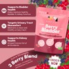 Buddy & Lola Berry Bladder | Advanced Bladder & Kidney