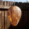 Wasp Trap 4-Pack-Attract & Trap Wasps, Hornets, Yellow Jackets; Protect