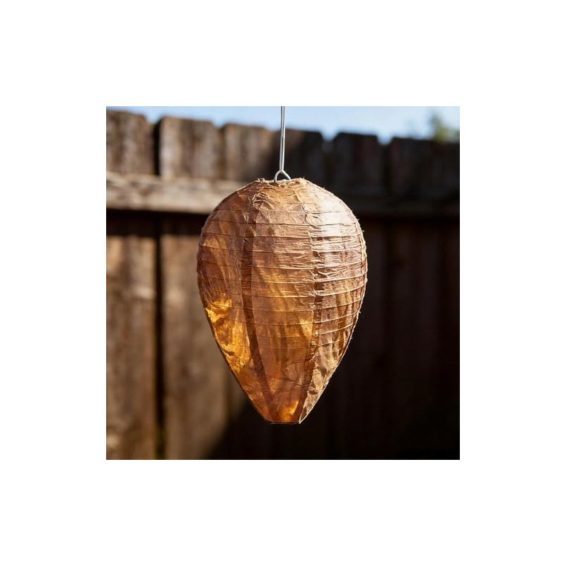 Wasp Trap 4-Pack-Attract & Trap Wasps, Hornets, Yellow Jackets; Protect