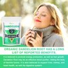 Organic Dandelion Root Herbal Tea, Premium Dandelion Root Leaf with