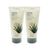 The Face Shop Herb Day Master Blending Facial Cleansing Foam