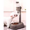 Chazcool Pet Water Dispenser, Pet Standing Water Dispenser Bowl, 2