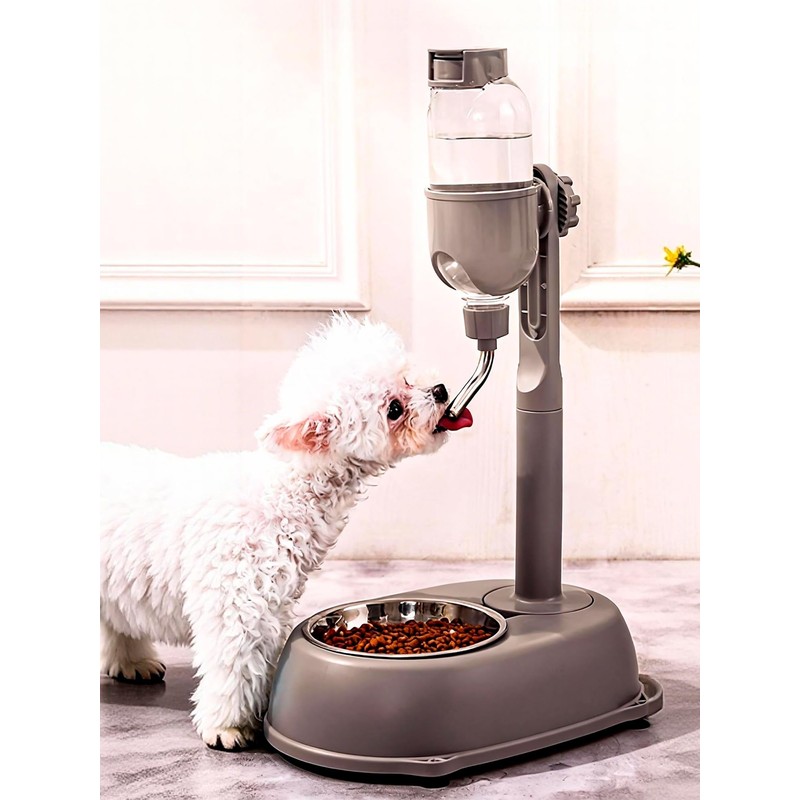 Chazcool Pet Water Dispenser, Pet Standing Water Dispenser Bowl, 2