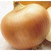 Onion Yellow Sweet Spanish Great Heirloom Vegetable 1 Lb Seeds