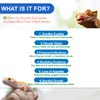 NUTRIARISE Reptile Vitamin A Supplement – Eye Health Support for