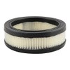 Baldwin Filters PA678 Air Element