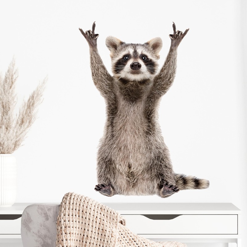GRAZDesign Wall Tattoo Raccoon Funny Wall Sticker for Living Room