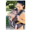 Infantino Cuddle-up Ergonomic Hoodie Baby Carrier, 2-Position, 12-40lb, Gray Fox