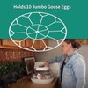 Vanshly,10 Egg Capacity Jumbo Goose Heavy Breeds Tray Fits Nurture
