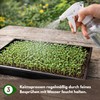 Samenshop24® Organic Cultivation Set (The Original)