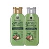 Avon Botanicals Argan & Castor Anti-Frizz Shampoo & Conditioner Duo