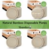 Ibambo Bamboo Disposable Paper Plates - Compostable Plate, PFAS Free