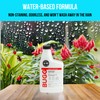 BUGGSLAYER Insecticide - Concentrate - Outdoor Box Elder Bugs, Stink