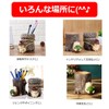 Modest Joy Hedgehog Pen Holder Glasses Stand Remote Control Stand